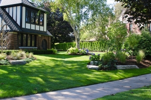 Premium custom landscape in Oakland County, MI from Custom Environments | IMG_3665.jpeg