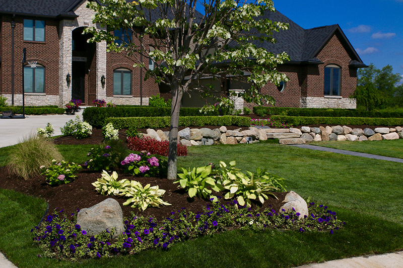 Frontyard Landscape Photo